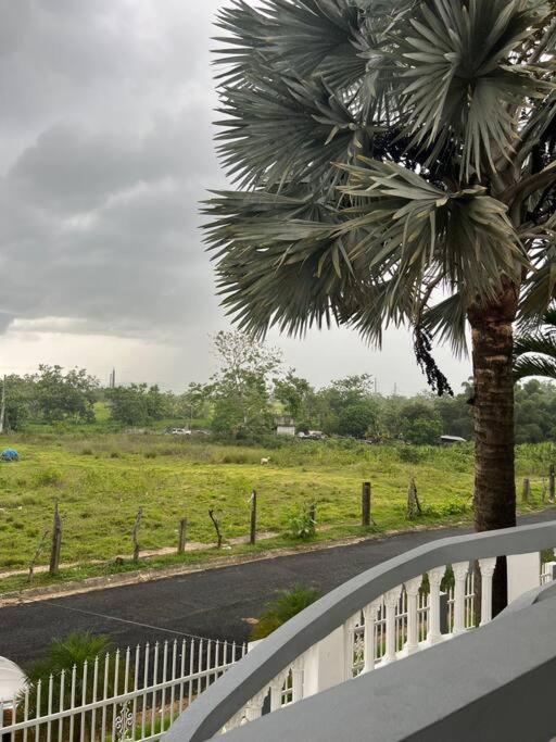 Mayaguez Spacious 3 Bedroom Villa Exteriér fotografie