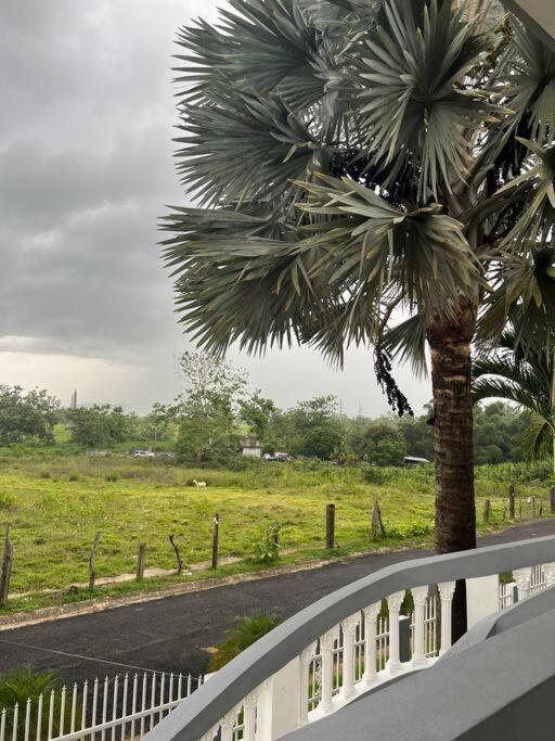 Mayaguez Spacious 3 Bedroom Villa Exteriér fotografie